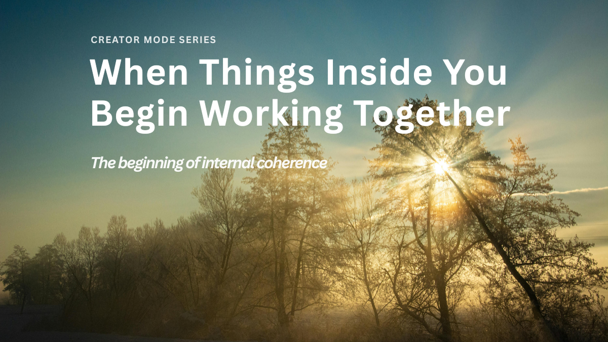 Sunlight filtering through trees in a forest, casting warm light across the landscape, representing clarity and internal coherence.