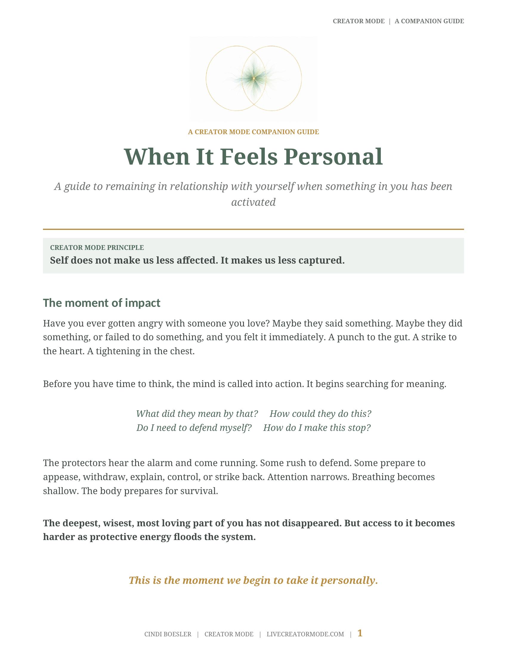 Cover of the When It Feels Personal companion guide