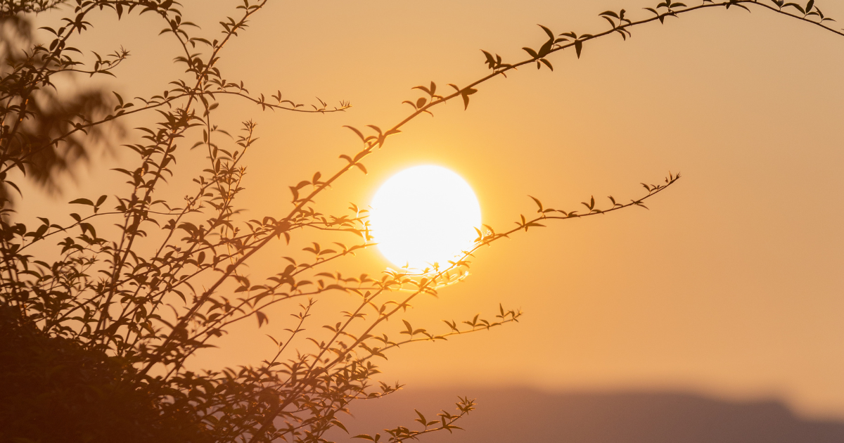 Soft natural light with a quiet, minimal scene evoking stillness and reflection